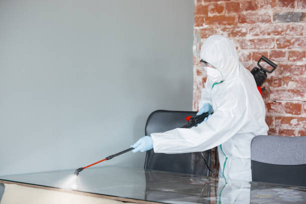 Mold Removal for HVAC Installations in Edgewood, OH